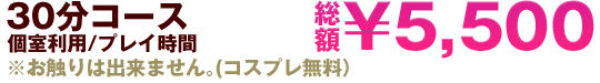 30分コース