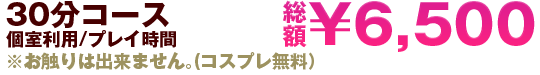 30分コース