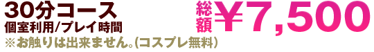 30分コース
